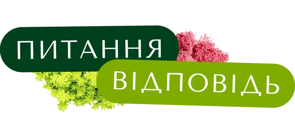 Питання та відповіді