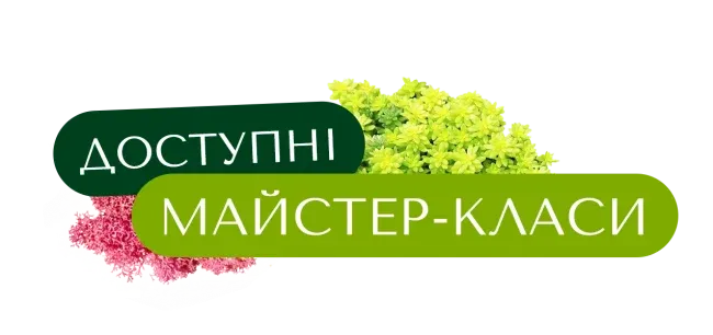 Доступні Майстер-Класи