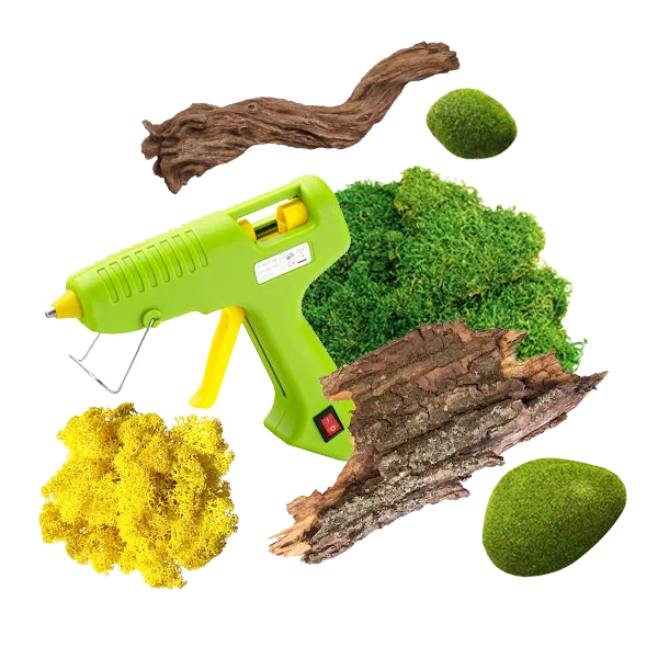 Новачки та початківці