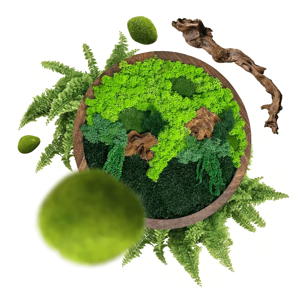 Шанувальники декору