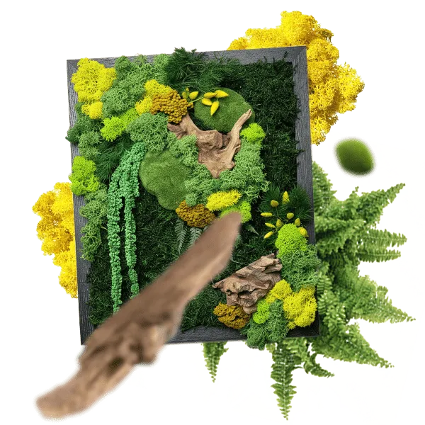 Ті, хто шукає натхнення