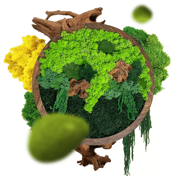 Підготовка та теоретичний блок