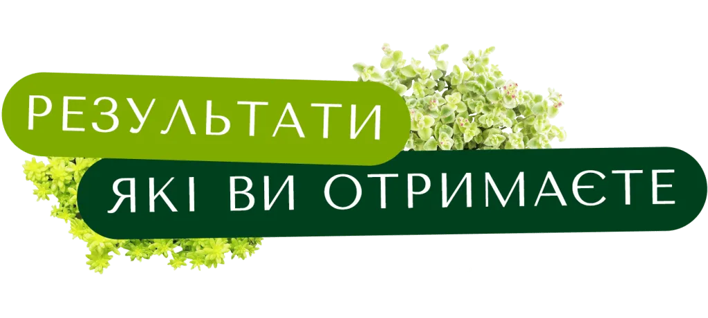 Результати які ви отримаєте