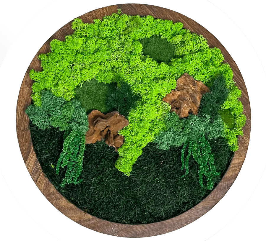 Картина зі стабілізованих рослин з позначеними елементами