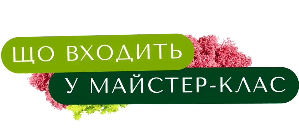 Програма майстер-класу