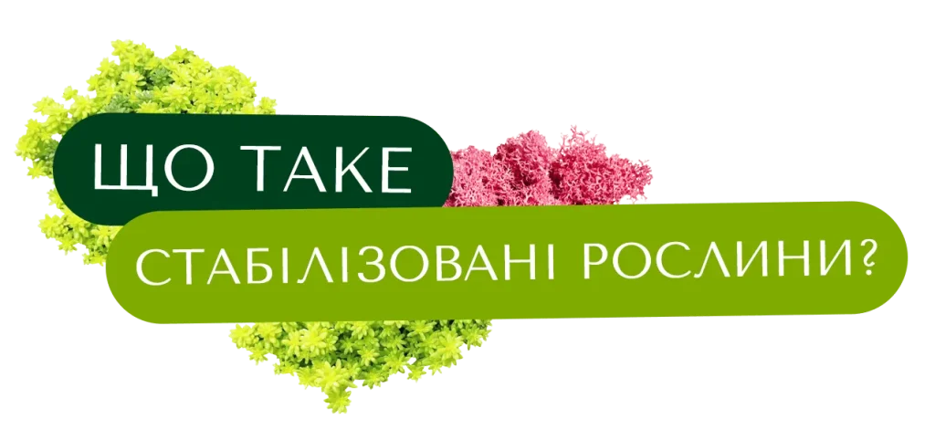 Що таке стабілізовані рослини?