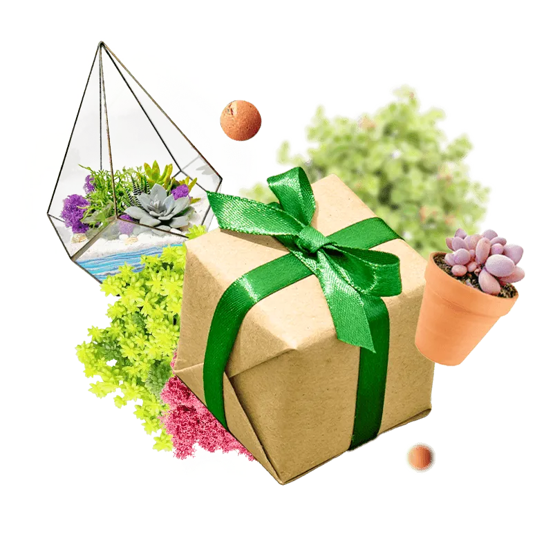 Любителі подарунків