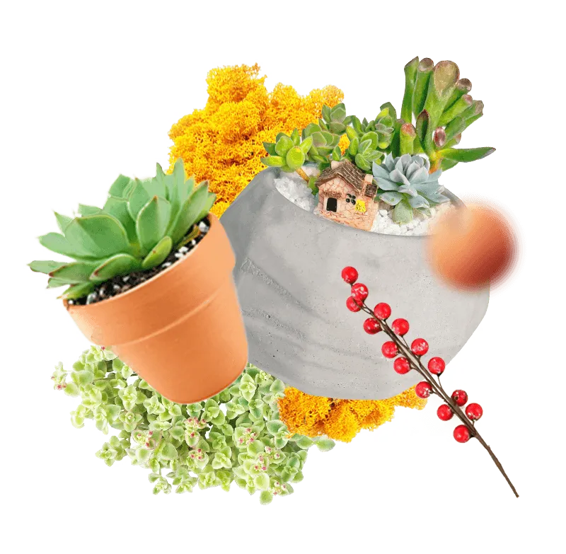 Ті, хто шукає натхнення