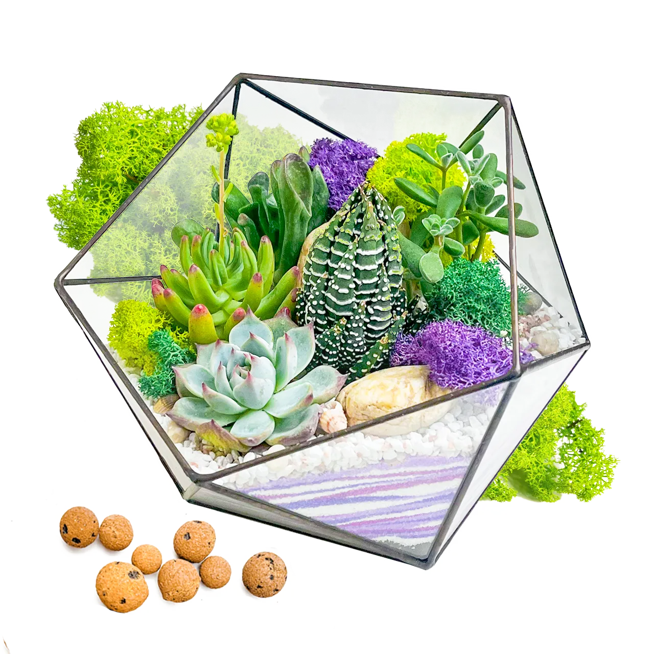 Створення флораріуму