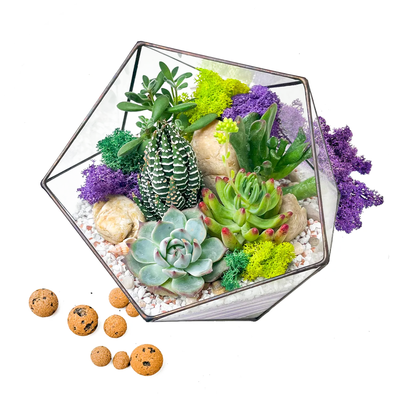 Догляд за флораріумом