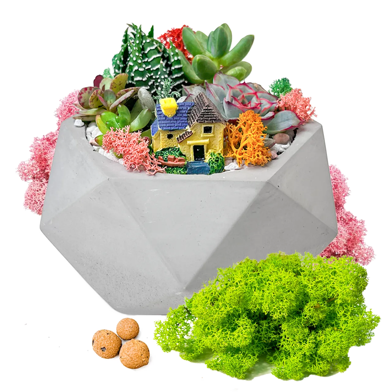 Композиція в бетонному кашпо