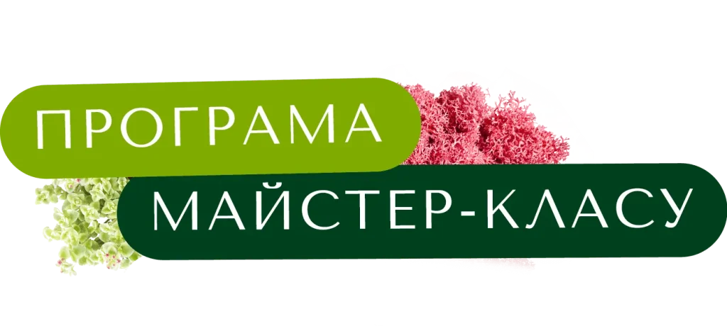 Програма майстер-класу