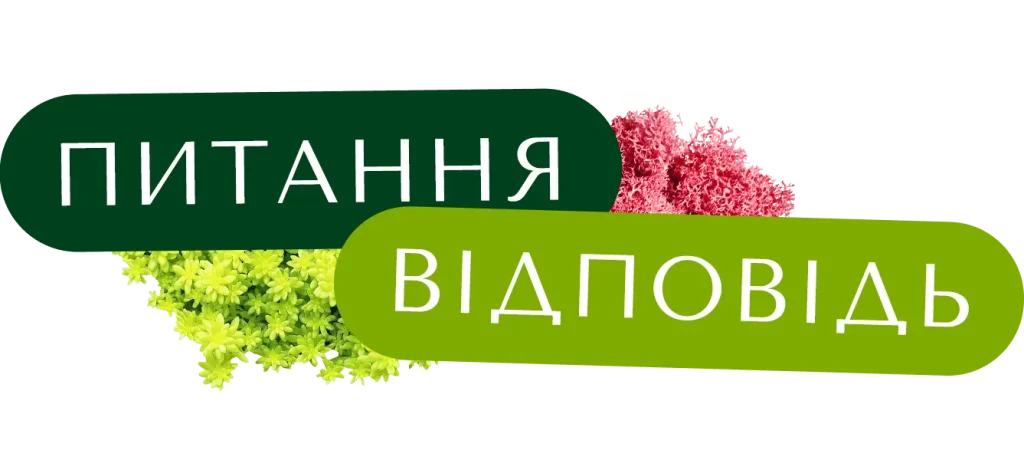 Питання та відповідь