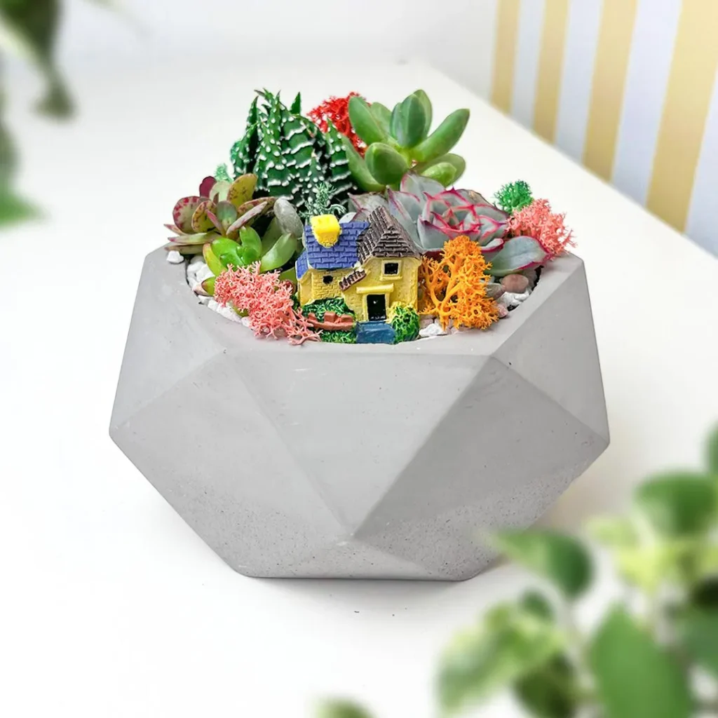 Композиція в бетонному кашпо