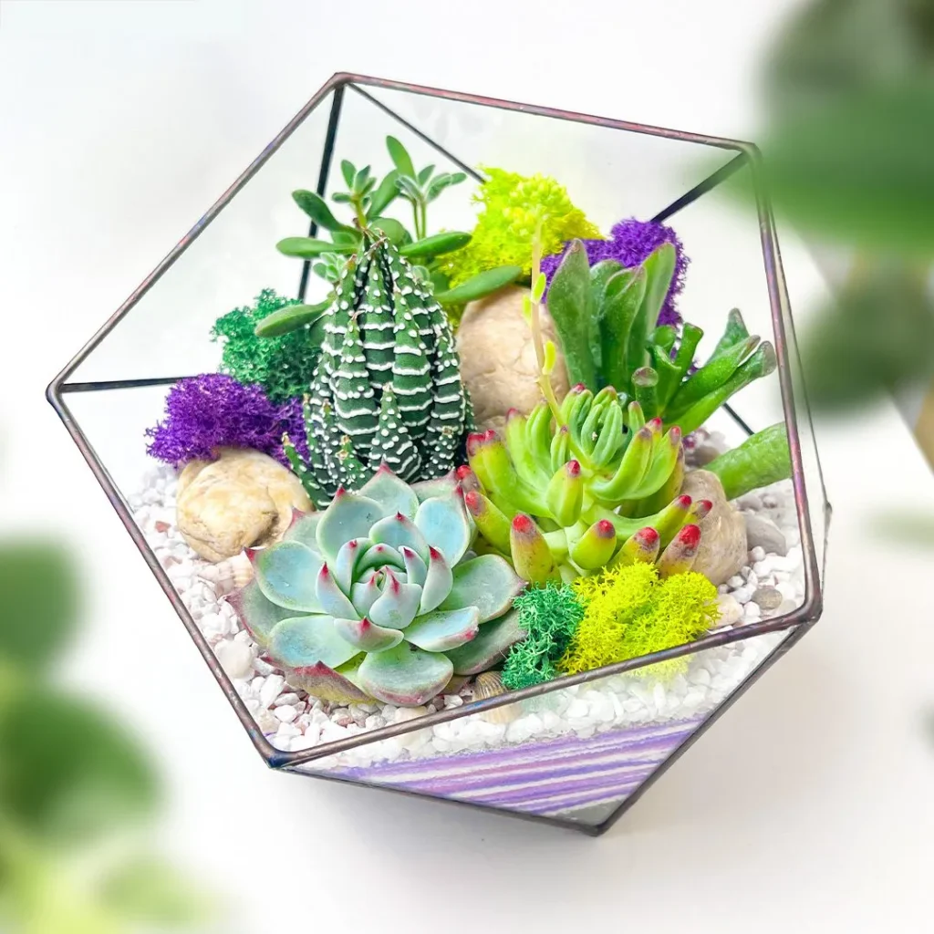 Результати — флораріум