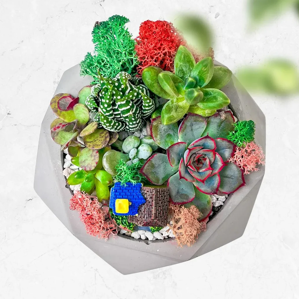 Результати — композиція