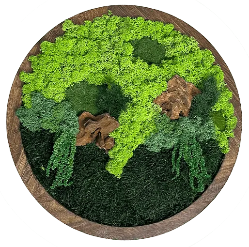 Картина зі стабілізованих рослин на дерев'яній основі