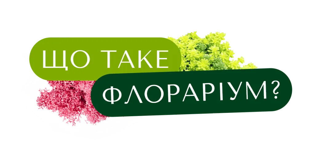 Що таке флораріум?