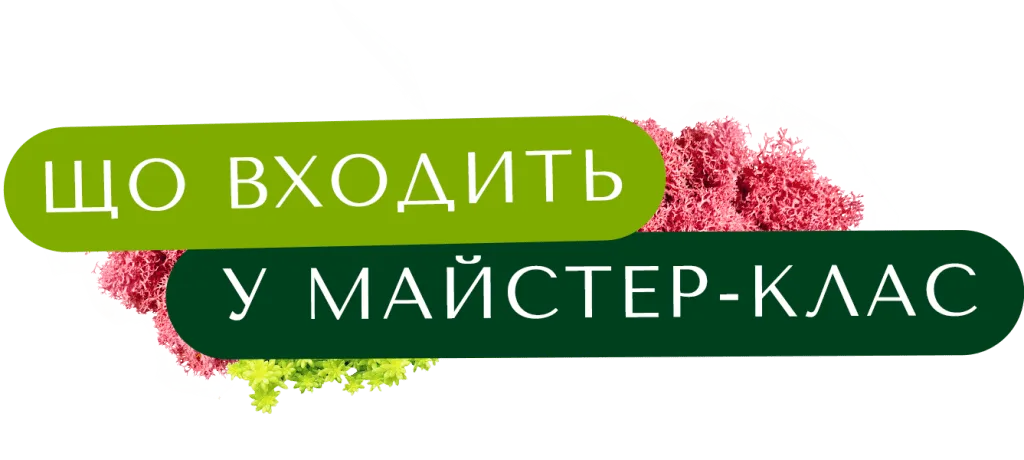 Що входить у майстер-клас